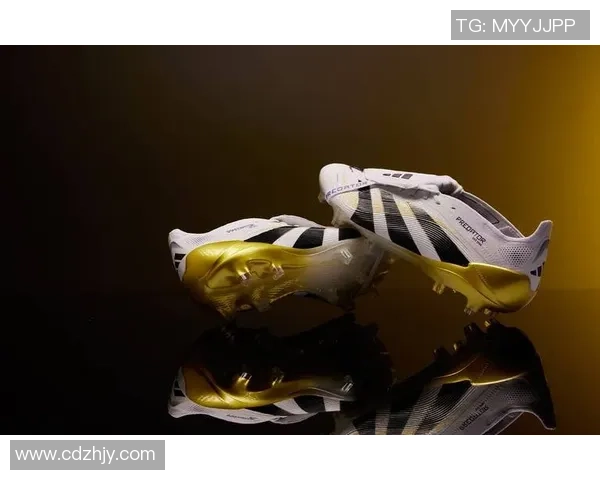 3C科技助力足球明星崛起探索他们背后的创新与荣耀之路 3C科技助力足球明星崛起探索他们背后的创新与荣耀之路