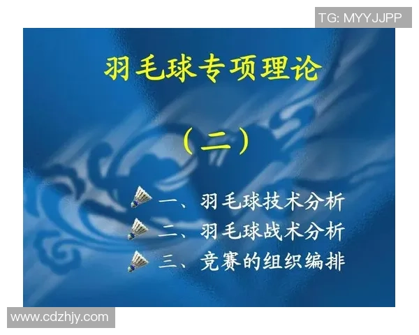 北京羽毛球队总决赛技术分析与表现评估全面解读 北京羽毛球队总决赛技术分析与表现评估全面解读