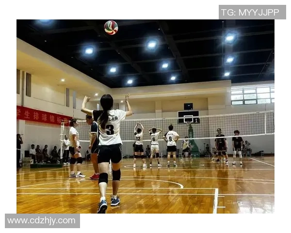 排球精神：深入解析北京排球队的团队协作与默契配合之道