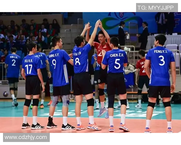 南京排球队在世界锦标赛中的团队协作表现与战术分析