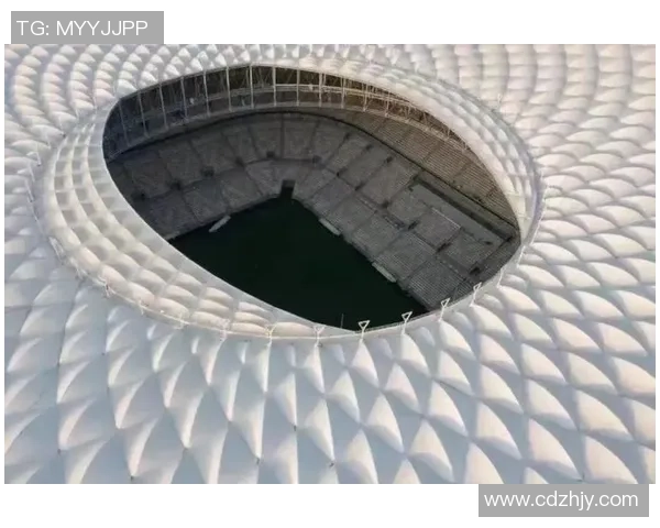 绿茵场上的诗意解说让每一次进球都如同心灵的共鸣 绿茵场上的诗意解说让每一次进球都如同心灵的共鸣