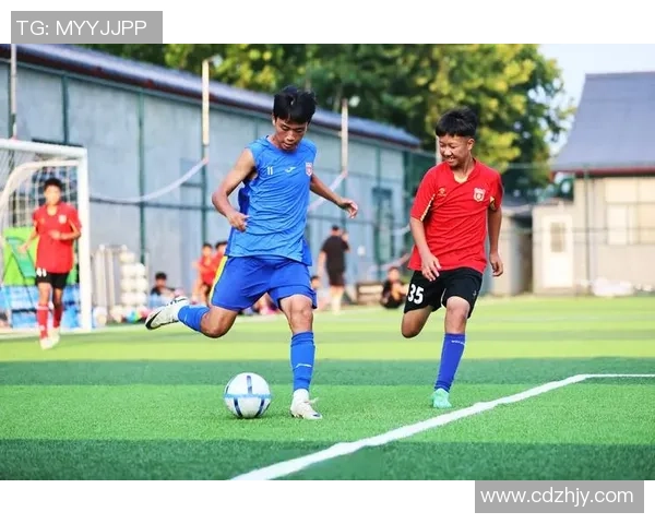 足球的羽毛在绿茵场上翩翩起舞展现激情与梦想的完美结合