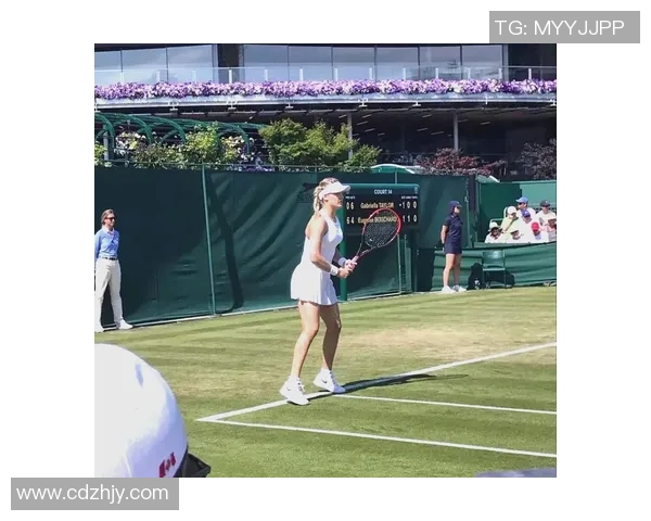 西安网球队速度之美：探秘训练背后的坚持与激情