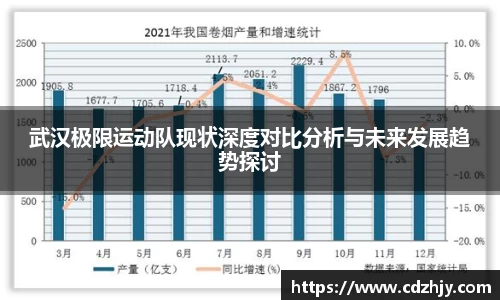 武汉极限运动队现状深度对比分析与未来发展趋势探讨