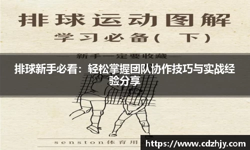 排球新手必看：轻松掌握团队协作技巧与实战经验分享